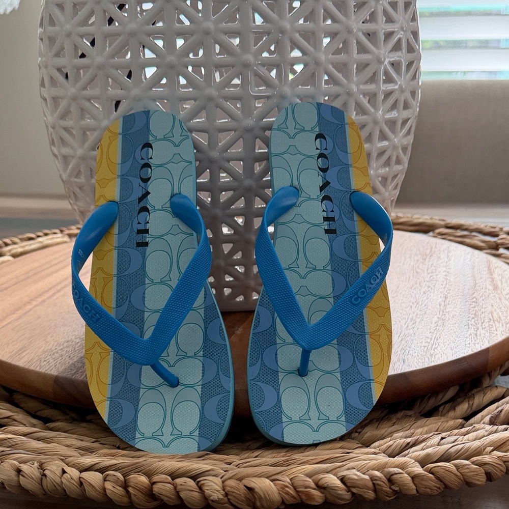 Coach Striped Blue and Yellow Flip Flops